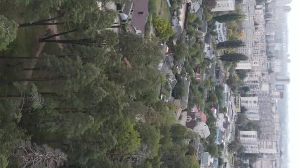 Vista aerea del confine tra la metropoli e la foresta. Video verticale — Video Stock