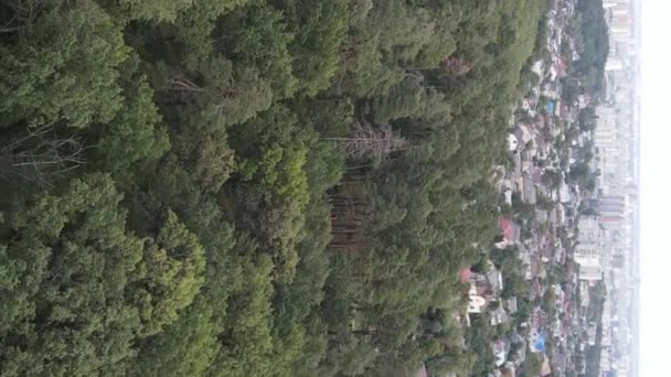 Aerial view of the border of the metropolis and the forest. Vertical video — Stock Video