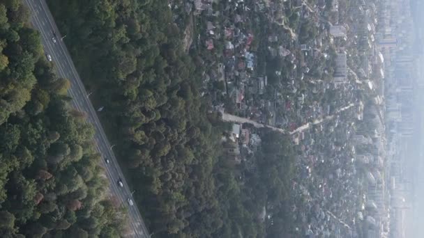 Vista aérea de la frontera de la metrópolis y el bosque. Vídeo vertical — Vídeos de Stock