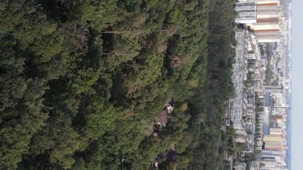 Vedere aeriană la granița dintre metropolă și pădure. Video vertical — Videoclip de stoc