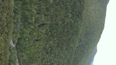 Dikey video Carpathian Dağları. Ukrayna