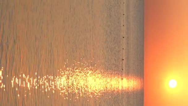 美しい海景:海岸近くの海の上に太陽。垂直ビデオ — ストック動画
