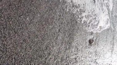 Kıyıya yakın deniz kıyısı kıyı şeridine yakın hava manzarası. Dikey video