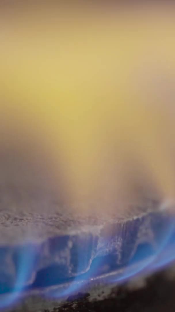 Tűz egy gáztűzhelyen a gáztűzhelyen. Függőleges videó — Stock videók