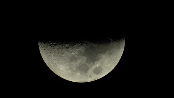 Moon close-up. Planet satellite. Vertical video — Stock Video