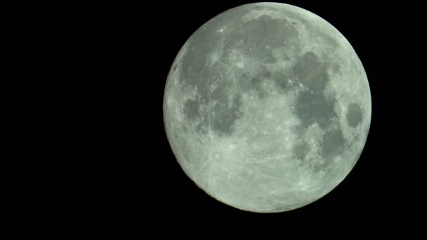 Gros plan sur la lune. Le satellite planétaire. Vidéo verticale — Video