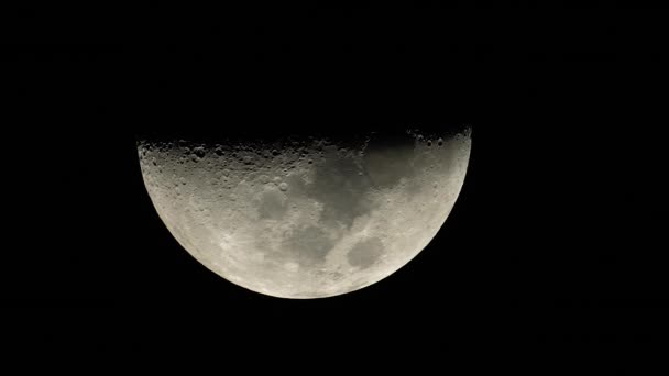 Hold közelkép. Bolygó műhold. Függőleges videó — Stock videók