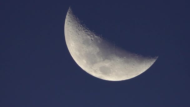 月亮特写。行星卫星。垂直录像 — 图库视频影像