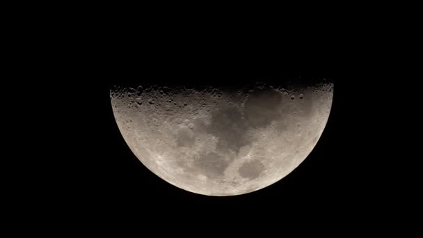 Moon close-up. Planet satellite. Vertical video — Stock Video