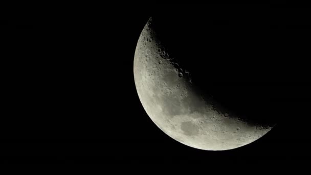 月亮特写。行星卫星。垂直录像 — 图库视频影像