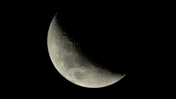 月亮特写。行星卫星。垂直录像 — 图库视频影像