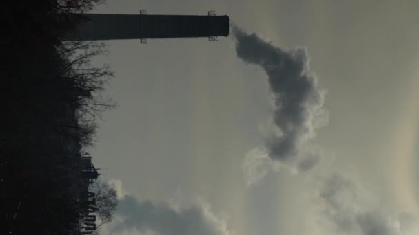 Smoke comes from the chimney. Vertical video — Stock Video