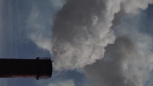 煙は煙突から出ています。垂直ビデオ — ストック動画