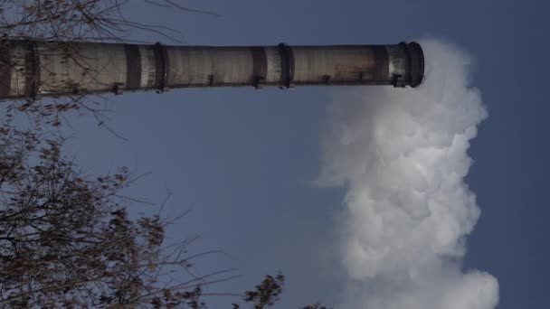 Er komt rook uit de schoorsteen. Verticale video — Stockvideo