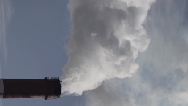 El humo viene de la chimenea. Vídeo vertical — Vídeo de stock