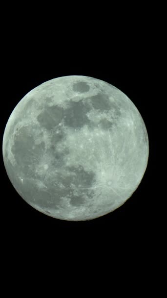 Moon close-up. Planet satellite. Vertical video — Stock Video