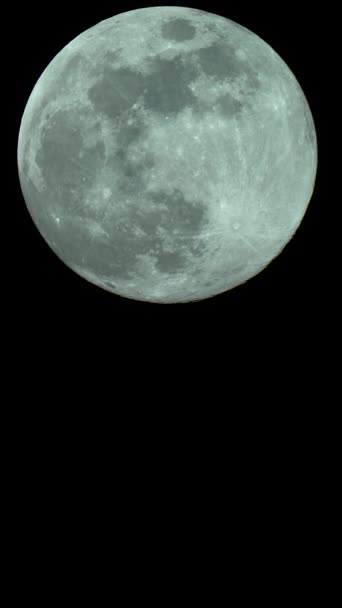 Moon close-up. Planet satellite. Vertical video — Stock Video