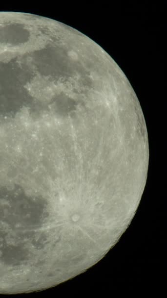 Hold közelkép. Bolygó műhold. Függőleges videó — Stock videók