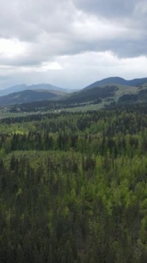 Karpat Dağları. Ukrayna. Dikey video