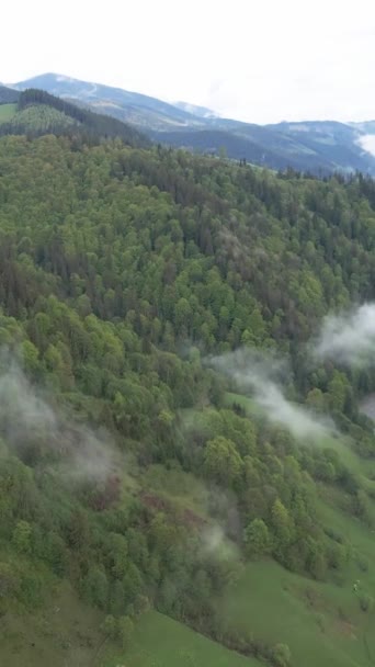 カルパチア山脈。ウクライナだ。垂直ビデオ — ストック動画