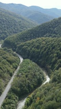 Karpat Dağları. Ukrayna. Dikey video