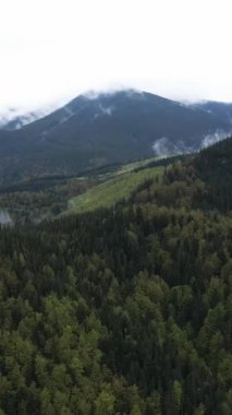 Karpat Dağları. Ukrayna. Dikey video