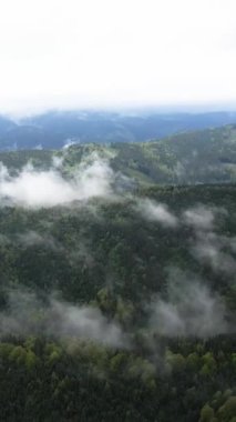 Karpat Dağları. Ukrayna. Dikey video