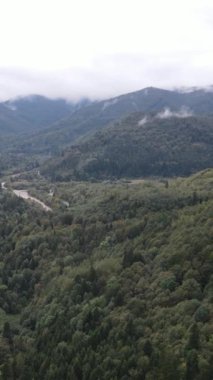 Karpat Dağları. Ukrayna. Dikey video