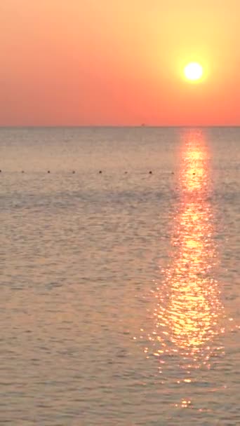 Beau paysage marin : Soleil sur la mer près du rivage. Vidéo verticale — Video