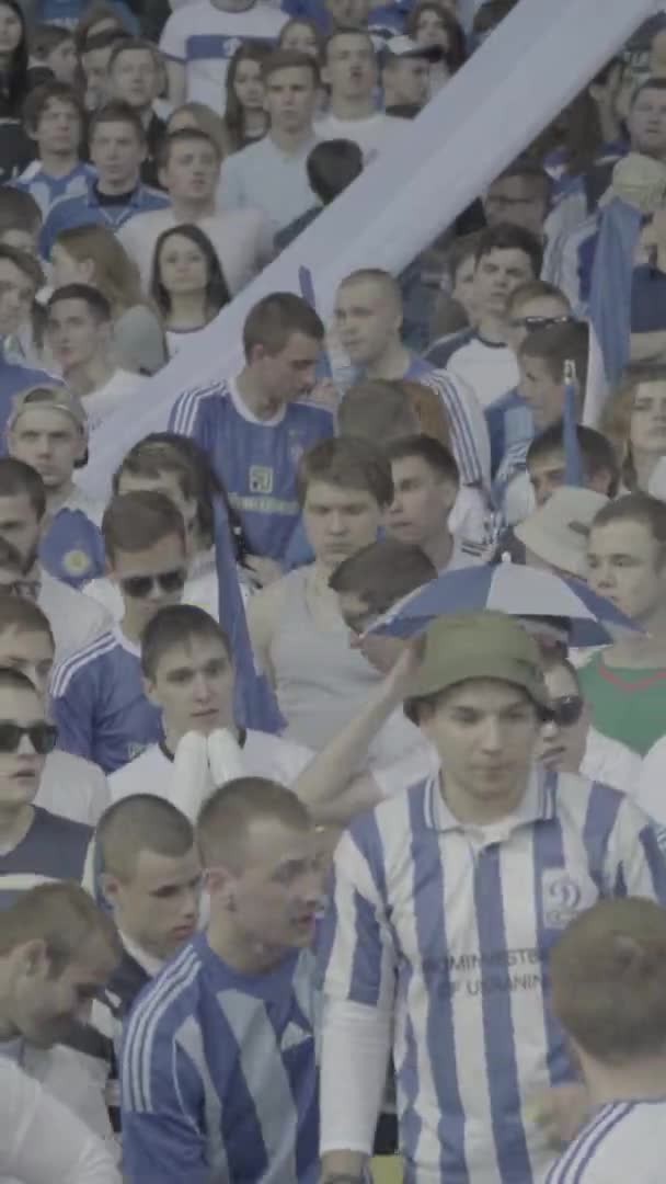 Fans während des Spiels im Stadion. Vertikales Video — Stockvideo