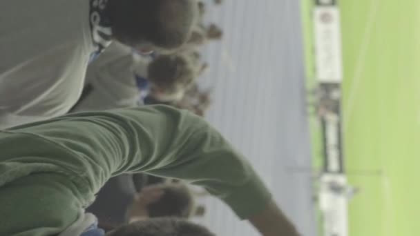 Fans in the stadium during the game. Vertical video — Stock Video