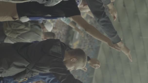 Fans in het stadion tijdens de wedstrijd. Verticale video — Stockvideo