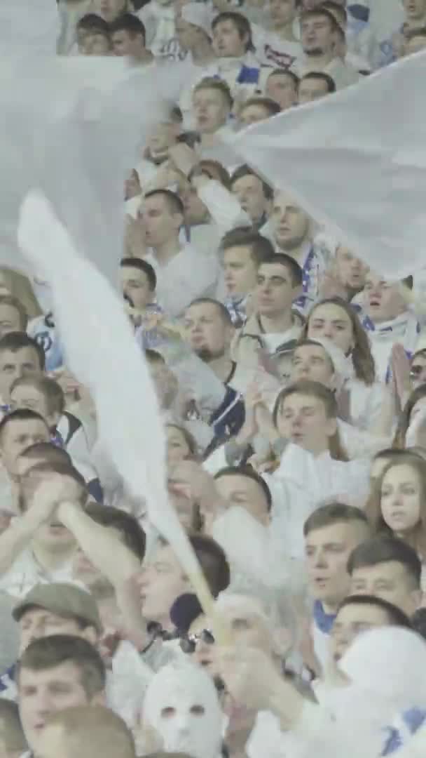 Rajongók a stadionban a meccs alatt. Függőleges videó — Stock videók