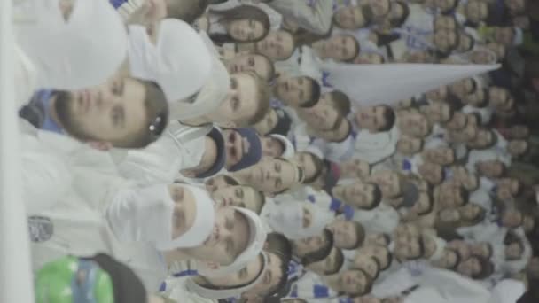 Ventilateurs dans le stade pendant le match. Vidéo verticale — Video