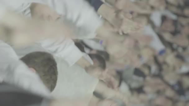 Fans in het stadion tijdens de wedstrijd. Verticale video — Stockvideo