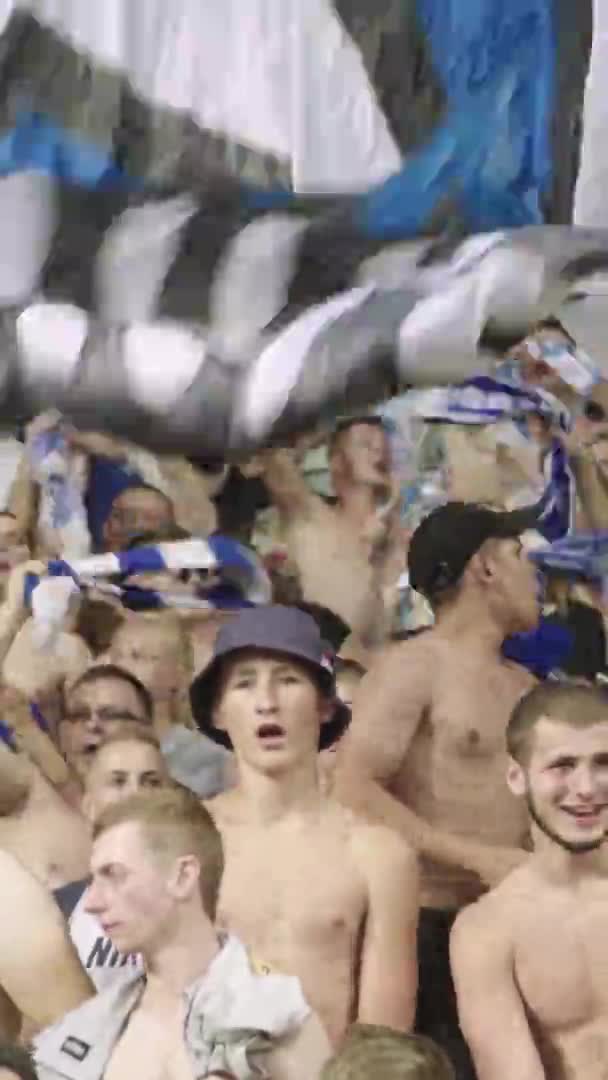 Fans in het stadion tijdens de wedstrijd. Verticale video — Stockvideo