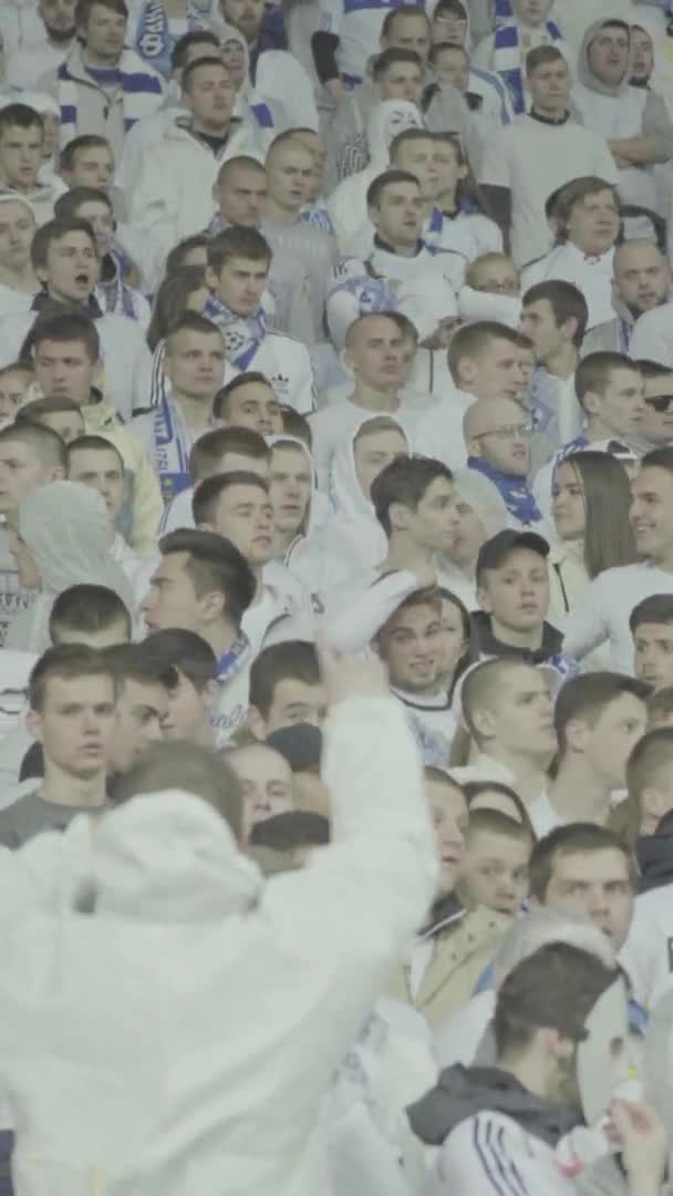 Fans in het stadion tijdens de wedstrijd. Verticale video — Stockvideo