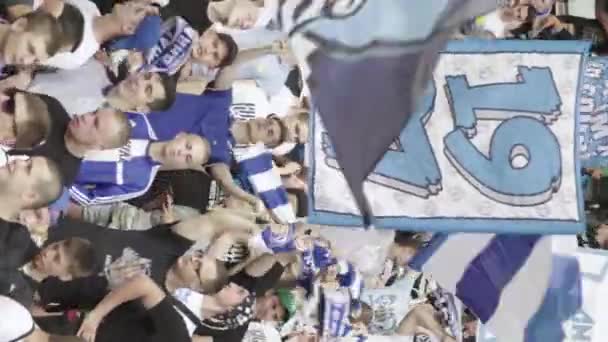 Fans in het stadion tijdens de wedstrijd. Verticale video — Stockvideo