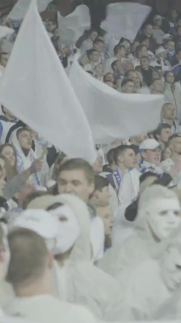 Fãs no estádio durante o jogo. Vídeo vertical — Vídeo de Stock