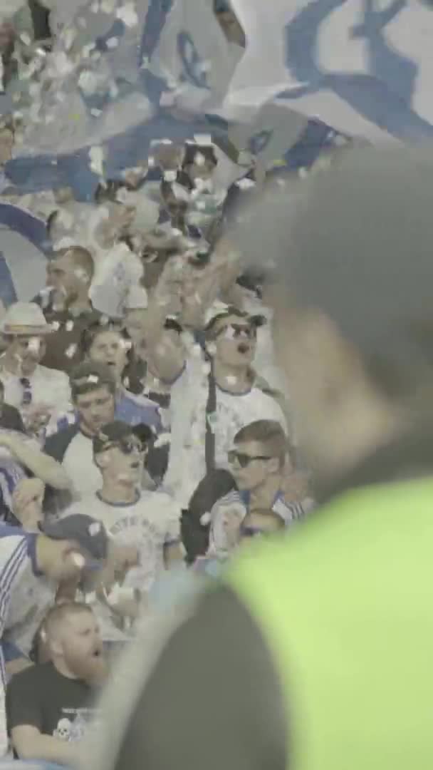 Fans in het stadion tijdens de wedstrijd. Verticale video — Stockvideo