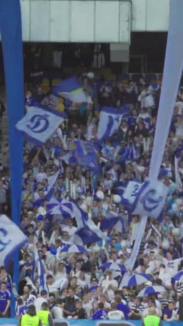 Fans während des Spiels im Stadion. Vertikales Video — Stockvideo