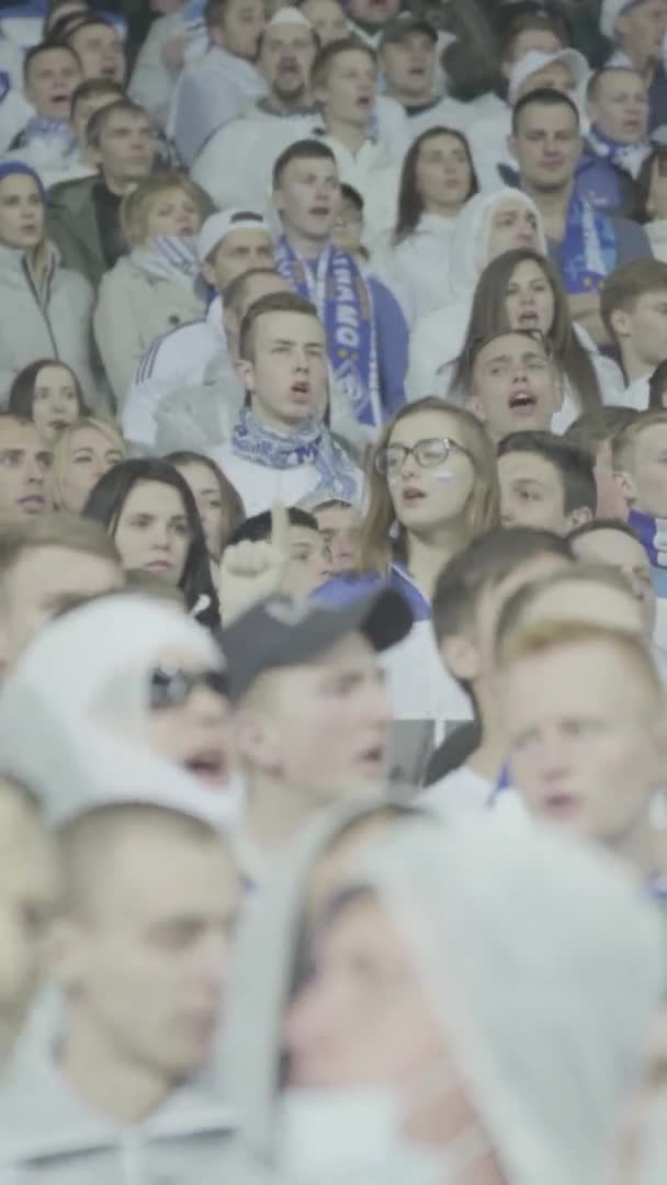 Fans in het stadion tijdens de wedstrijd. Verticale video — Stockvideo