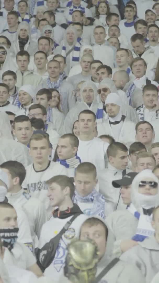 Fanii de pe stadion în timpul meciului. Video vertical — Videoclip de stoc