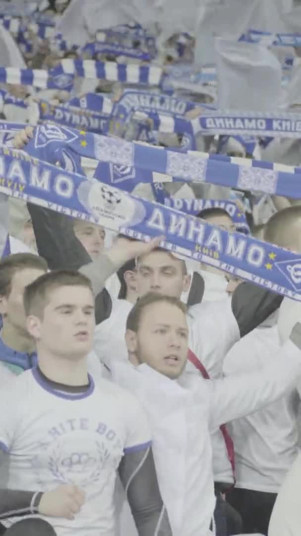 Fãs no estádio durante o jogo. Vídeo vertical — Vídeo de Stock