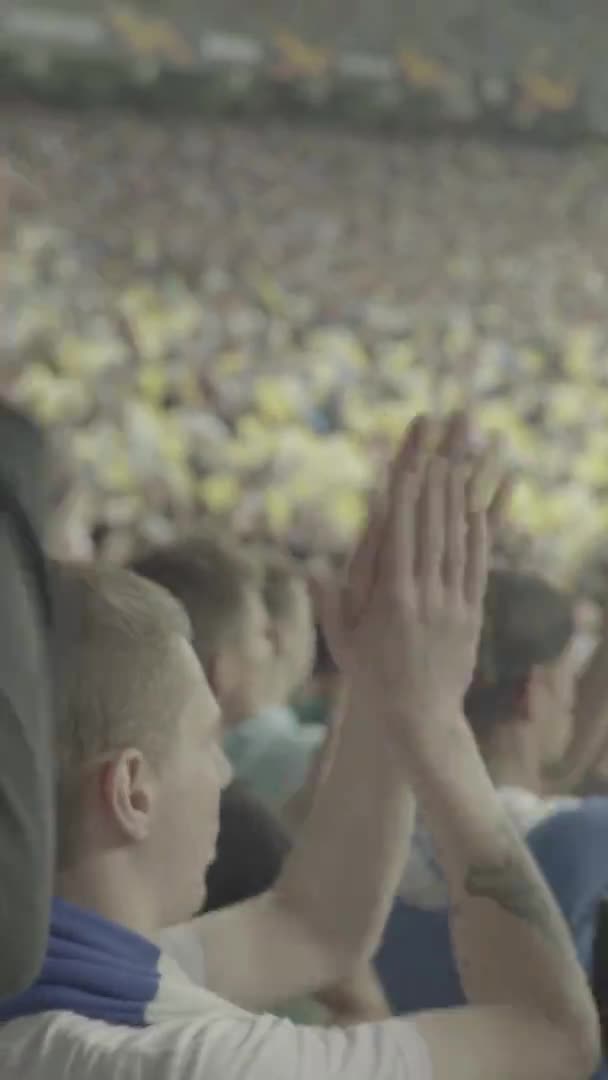 Fans während des Spiels im Stadion. Vertikales Video — Stockvideo