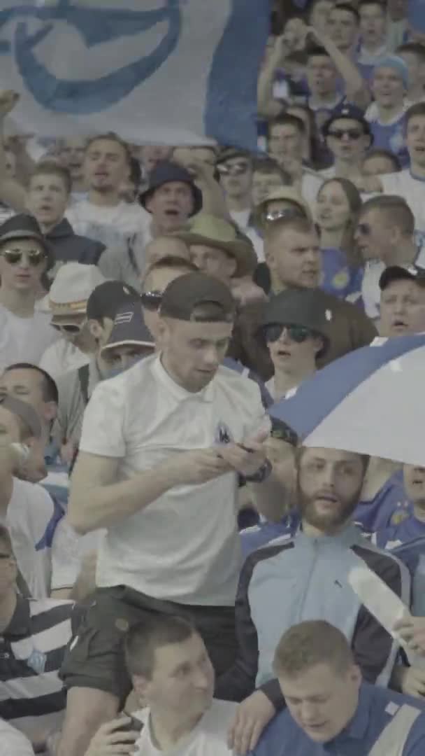 Fãs no estádio durante o jogo. Vídeo vertical — Vídeo de Stock