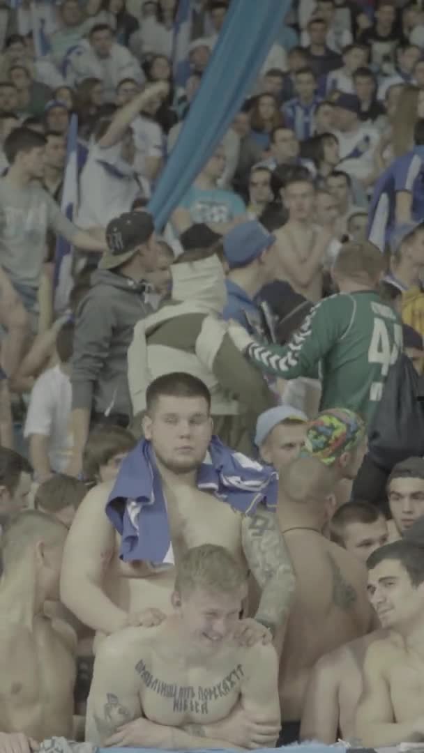 Ventilateurs dans le stade pendant le match. Vidéo verticale — Video