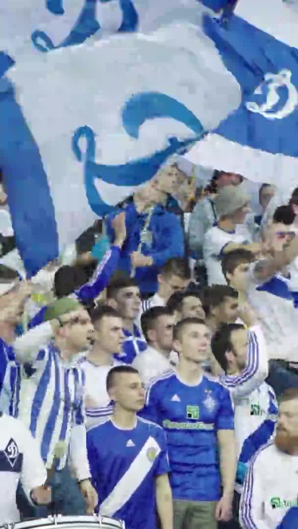 Fans in het stadion tijdens de wedstrijd. Verticale video — Stockvideo