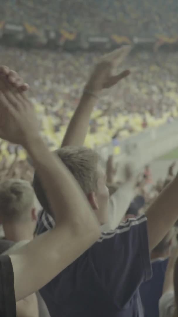 Fans in het stadion tijdens de wedstrijd. Verticale video — Stockvideo