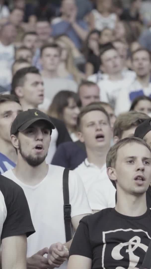 Fans in the stadium during the game. Vertical video — Stock Video